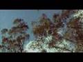 UNSW Landcare Program