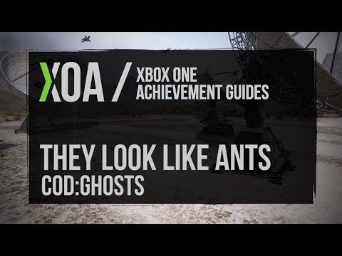 how to eliminate ghost ants