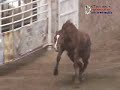 Dia 18 Campeonato Nacional Zacatecas DeCharros.com