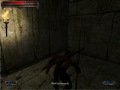 Severance Blade of Darkness lvl1 2of2 Video Walkthrough Severance Blade of Darkness lvl1 2of2 Video Walkthrough