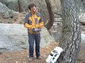 CRAWLTREEING