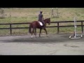 Bendooley Park Log On You Tube.flv
