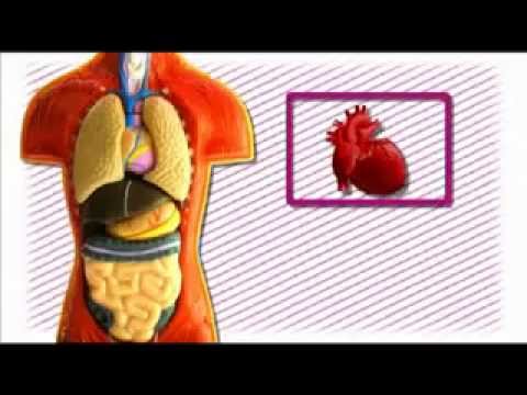 how to eliminate omega 6