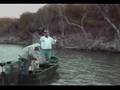 Pescando Lobina