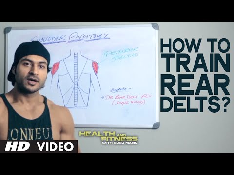 how to train rear delts
