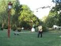 acrobacias orense