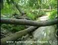 Hiking in the woods