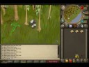 Lordjacob60\