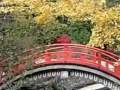 Shimogamo Shrine ????????