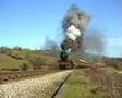 4771 restarts on 1in49