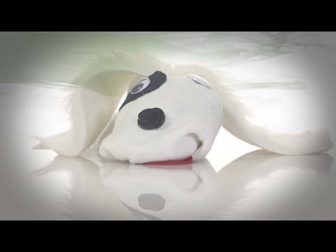 how to get a skunk smell off a dog