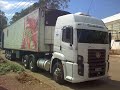 Haulin & Frigorífico Paloma