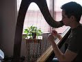 Reflections - Harp