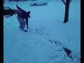 Snowboard Crash