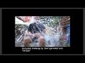 Ice bucket challenge by