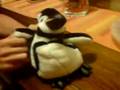 Pingu, il pinguino piu spassoso che ci sia
