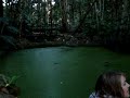 Deadly Swamp