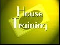 an introduction to housetraining a puppy