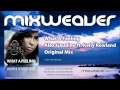 Alex Gaudino ft. Kelly Rowland - What A Feeling