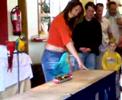Parrot show 1 Parrot show 1