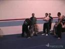 Team Ryouko-What the guys do...