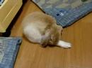??? 2008-04-29 ??????????????????????????