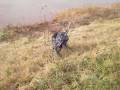videos de Novemberwandeling 2008.wmv