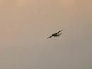 Twin Otter