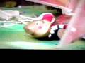 videos de The Tortoise and the Bird