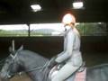 horse ridden 2008