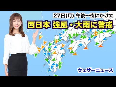 動画