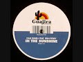 Dan Rubell Feat. Erin Perry - In The Sunshine