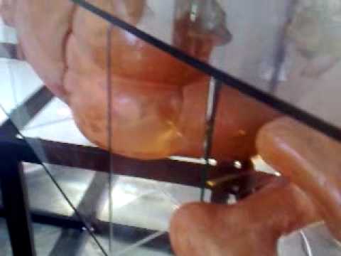 nu masculino - Esculturas em terracota ou gesso, de nus masculinos em partes apoiadas por vidros e estruturas de ferro.