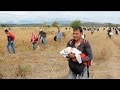 Хаос със имигрантите на гръцко-македонската граница