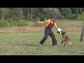 Romа protection training with Jan Skogster (20 months)