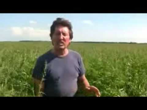 hemp - Hemp farmers and processors speak about the viability and practical details of hemp farming. Great shots of big hemp fields, plants and seeds. Hemp is a viab...