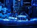 Fishtank Computer