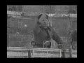 Seconda guerra mondiale - Benito Mussolini Duce d\