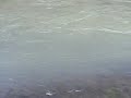 DSCF2802.avi