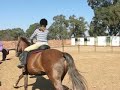 Kendra and galley using a Barefoot treeless saddle