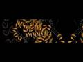 Motion Experiment 7 - Fantasy Fractal Particle Machine Art