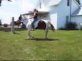 Jumping Bareback