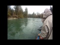 BC Steelheading ~ Vancouver Island ~ Cowichan River ~ Jumping Steelhead