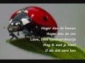 Lieveheersbeestje