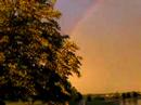 Rainbow 9880