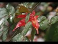 Moving Season??????????.wmv Moving Season??????????.wmv