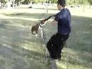 ORKAN (APBT) presa [01]