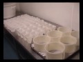 Fromage \