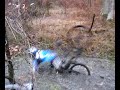 chute vtt avec les poulo