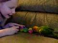 videos de Tiki jenday playing with ball 2